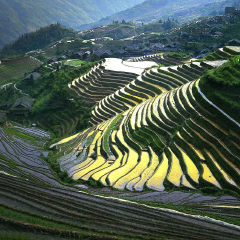 景点模块 