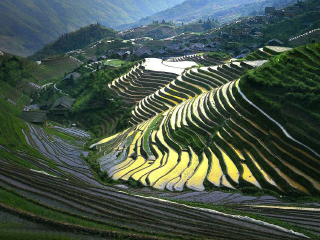 到桂林陽(yáng)朔旅游報(bào)團(tuán)價(jià)格_桂林陽(yáng)朔旅游要多少錢跟團(tuán)_桂林陽(yáng)朔旅游跟團(tuán)需多少錢