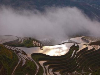 到桂林陽(yáng)朔旅游報(bào)團(tuán)價(jià)格_桂林陽(yáng)朔旅游要多少錢跟團(tuán)_桂林陽(yáng)朔旅游跟團(tuán)需多少錢