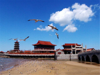 大連旅游費(fèi)用_旅行團(tuán)大連游_大連九月旅游