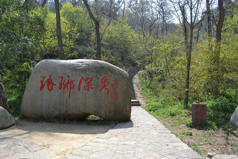 【首发】畅游琅琊山醉翁亭,享乐山水之间(滁州琅琊山一日游)