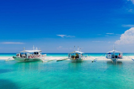 [春节]<宿雾+薄荷6或7日游>南京直飞，薄荷岛五星住宿，探寻神秘鲸鲨，魔幻巧克力山，迷你眼镜猴，宿雾薄荷各1天自由活动，充分享受自然风光
