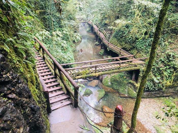 青城后山,没进都江堰的都江堰之旅