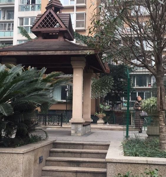 成都天府掌柜公寓(17号店)