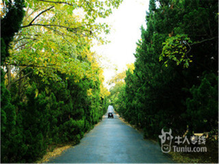 青岛九日游多少钱_春节青岛旅游跟团_去青岛旅游跟团费用
