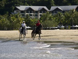 公司去香格里拉旅游_香格里拉旅游公司_香格里拉旅游跟团去