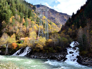 去成都7天旅游_成都特价旅游团报价_报团旅游成都