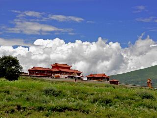 去成都7天旅游_成都特价旅游团报价_报团旅游成都