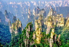 袁家界 景点模块