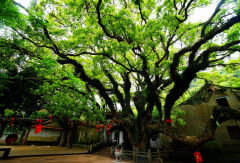 景点模块 