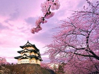 日本雙飛十日游很便宜_到日本旅游報(bào)團(tuán)價(jià)格_旅游去日本