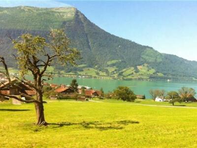 瑞士旅行通票 连续通票Swiss Travel Pass (电子