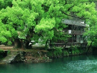 江西廬山組團旅游_江西廬山游8月份報價_深圳特價江西廬山游