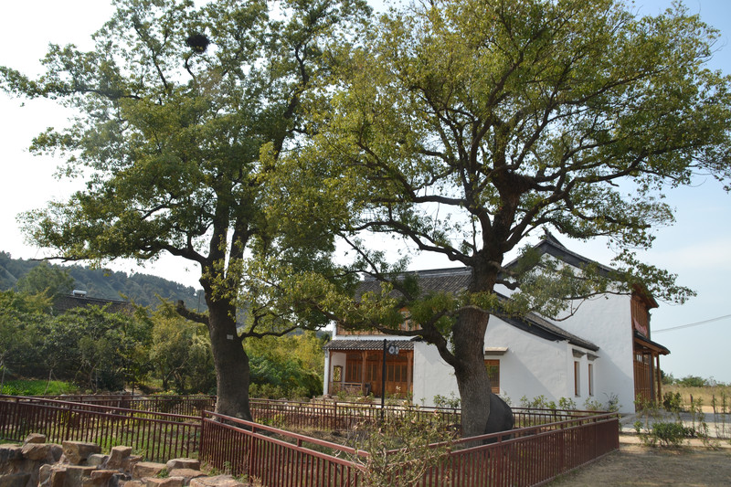 苏州最美乡村在哪里?在西山!在东山!(1)西山东村 徐家祠堂