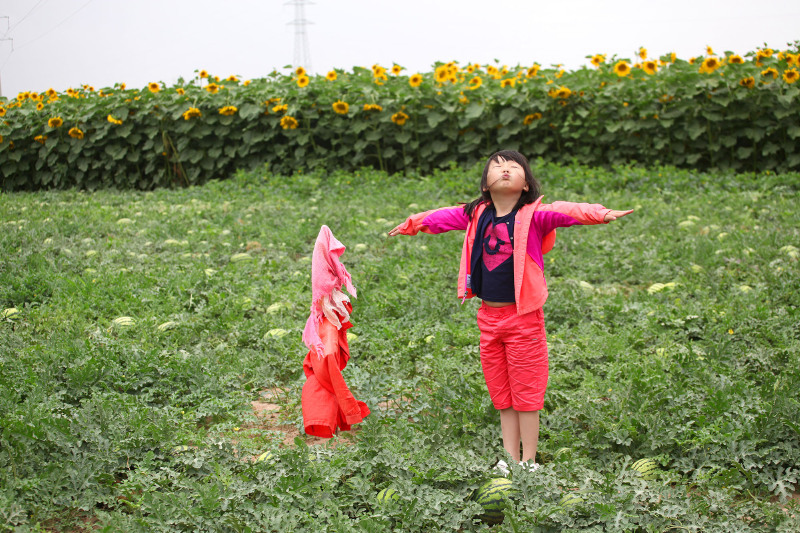 临近的西瓜地里有不少成熟的西瓜,孩子们看