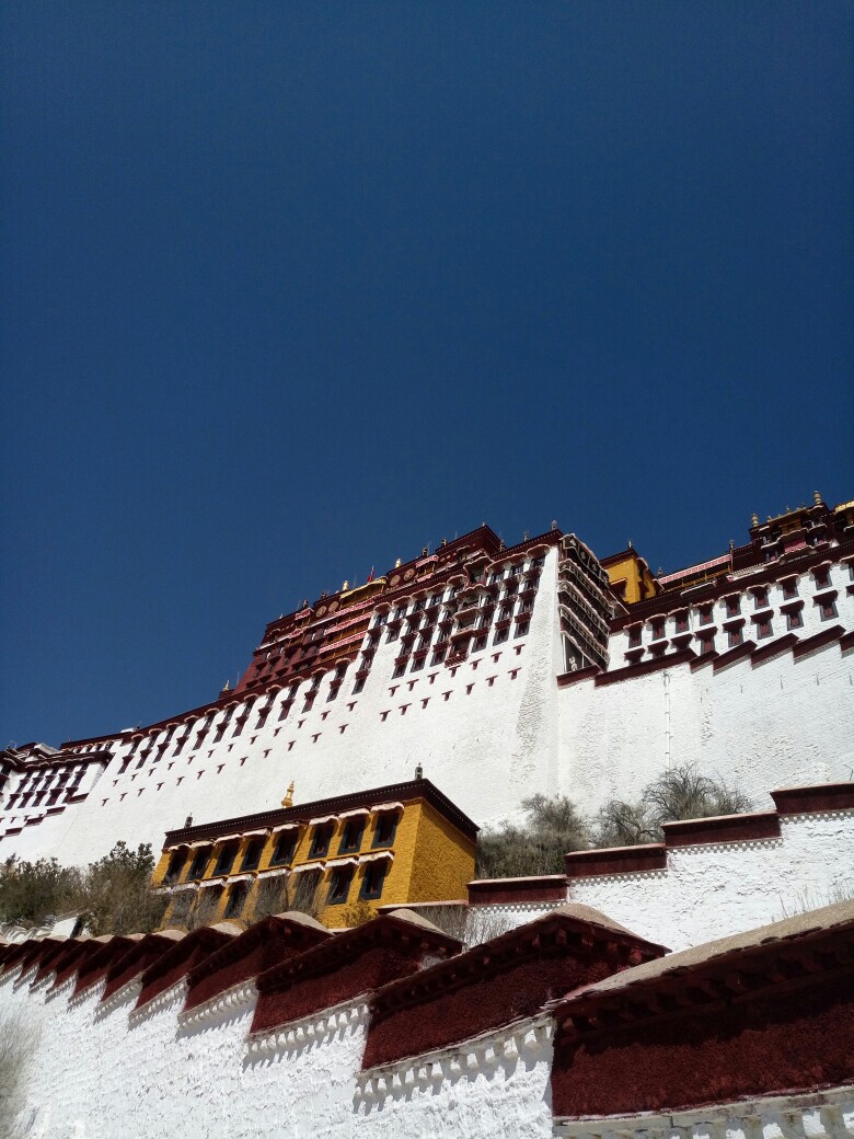 求解答:4月初去西藏拉萨,纳木错,林芝等旅游,穿