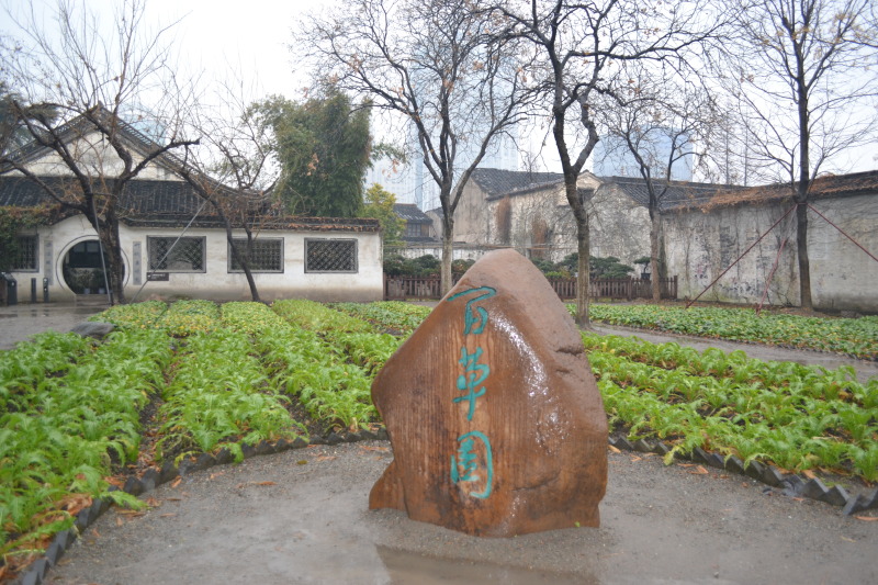 绍兴百草园            
