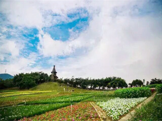 深圳東部華僑城自由行費(fèi)用_旅游去深圳東部華僑城_深圳東部華僑城旅游需要多少錢
