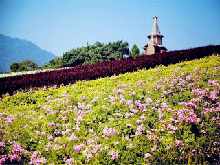 深圳東部華僑城自由行費(fèi)用_旅游去深圳東部華僑城_深圳東部華僑城旅游需要多少錢