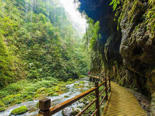 去湖南張家界旅游要多少錢_湖南張家界旅行團自由行_跟團湖南張家界旅游價格表
