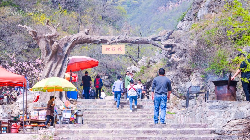 轻妆出行#【首发】猫猫游河南 新乡辉县关山行 踏春赏花之旅