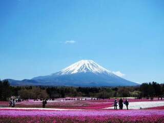 日本雙飛十日游很便宜_到日本旅游報(bào)團(tuán)價(jià)格_旅游去日本