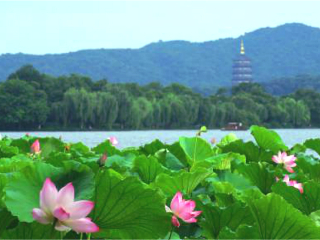 上海迪士尼旅游几月份最合适_上海迪士尼八月份旅游_国庆上海迪士尼游价格