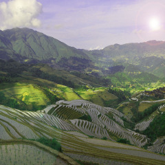 景点模块 