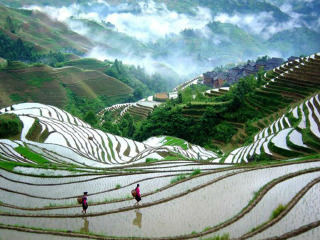 桂林陽(yáng)朔游組團(tuán)_桂林陽(yáng)朔私人定制旅游_桂林陽(yáng)朔游報(bào)價(jià)