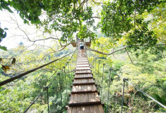 活动模块 