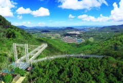 活动模块 