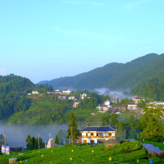 景点模块 