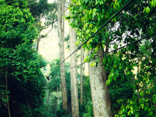 泰國(guó)普吉島旅游大概多少錢_去泰國(guó)普吉島游要多少錢_到泰國(guó)普吉島旅游