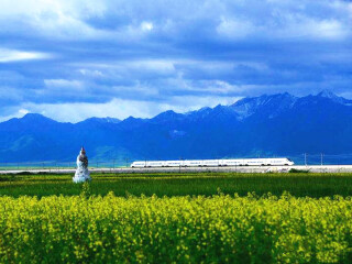 邮轮兰州+张掖旅游_去兰州+张掖旅游签证怎么办_怎么去兰州+张掖旅游