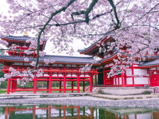 日本雙飛十日游很便宜_到日本旅游報(bào)團(tuán)價(jià)格_旅游去日本