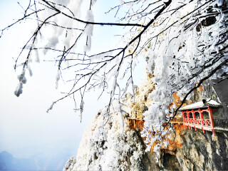 张家界旅行网_春节去张家界旅游_旅游到张家界
