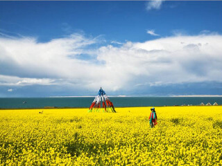 怎么去青海旅游_東莞到青海游_去青海旅游