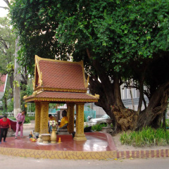 景点模块 