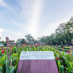 景点模块 