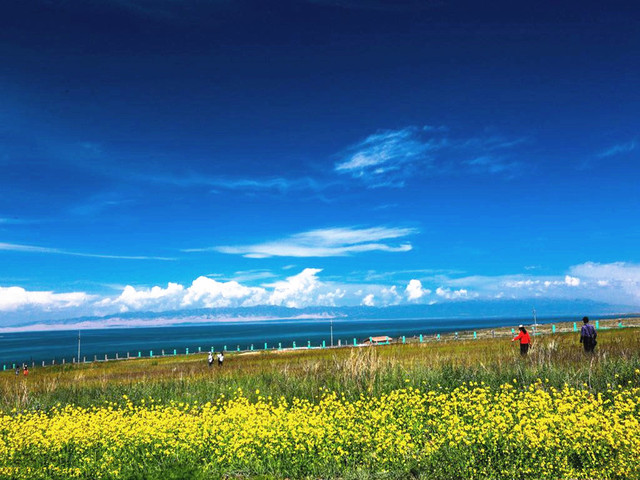 景点 · 青海湖环湖西路远观青海湖