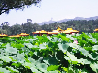 北京旅行團旅游報價_北京半自由行_2021去北京跟團多少錢