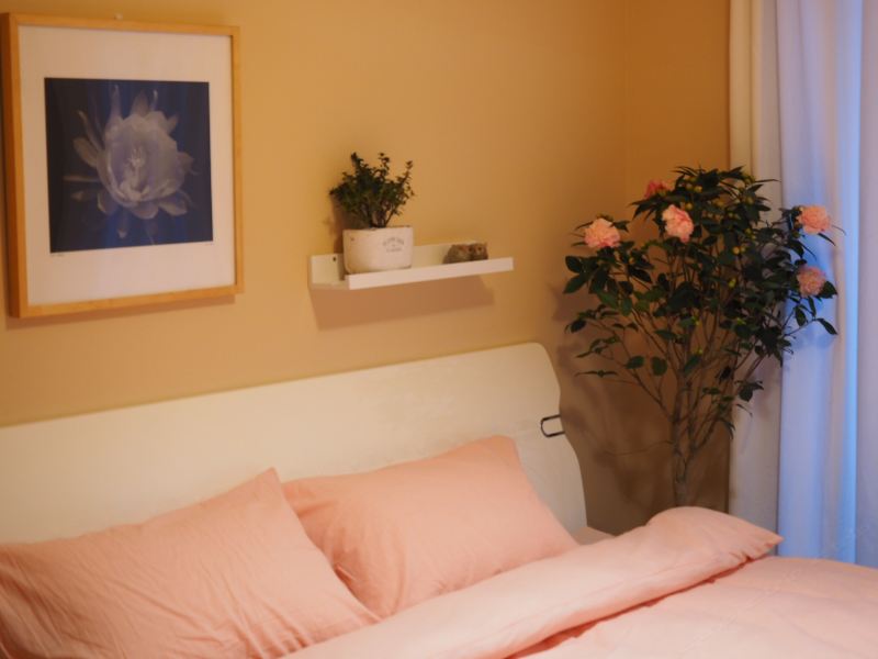 厦门独立发芽美学民宿