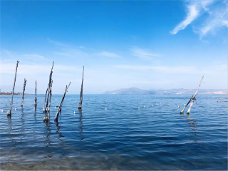 跟團(tuán)云南西雙版納旅游價(jià)格表_云南西雙版納游跟團(tuán)多少錢2021_云南西雙版納旅游價(jià)格