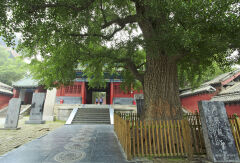景点模块 