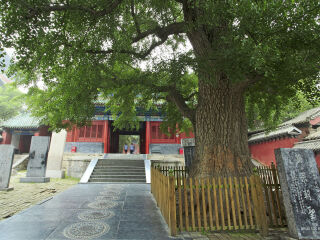 河南云臺(tái)山少林寺旅行團(tuán)自由行_河南云臺(tái)山少林寺九月旅游_河南云臺(tái)山少林寺游特價(jià)團(tuán)