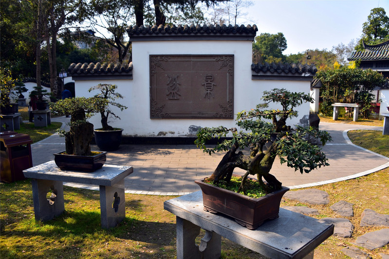 磊园里的假山飞瀑,是模仿四川九寨沟风景区诺日朗瀑布和五彩池秀丽