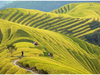 深圳出发去桂林旅游价格_春节前去桂林旅游团_去桂林游怎么省钱