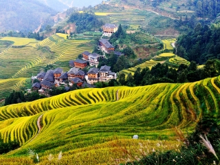 深圳出发去桂林旅游价格_春节前去桂林旅游团_去桂林游怎么省钱