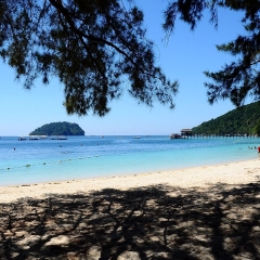 景点模块 