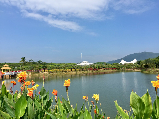 <广东魅力粤西茂名双动3日游